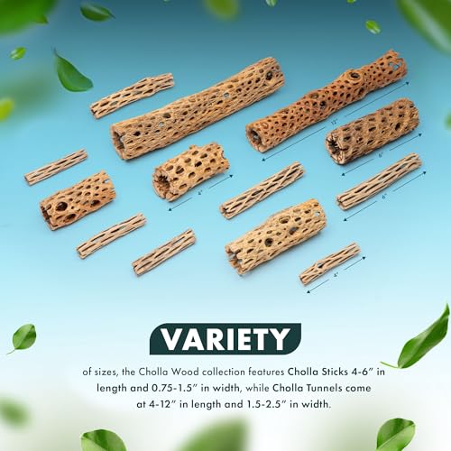SubstrateSource Natural Cholla Wood - Driftwood for Aquariums, Air Plant Base, Hermit Crab and Freshwater Shrimp Hideout, Fish Tank Decoration, Chinchilla Chews, Reptile Habitat Wood - 6 Inch, 2pc - size: 6 inch (Pack of 2)