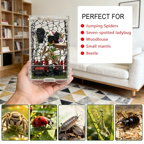 21-in-1 Jumping Spider Enclosure Kit, Acrylic Terrarium with Front Door & Magnetic Feeder, Complete Accessories Set for Jumping Spider, Tarantula, Praying Mantis, Reptile Habitat, 360° View