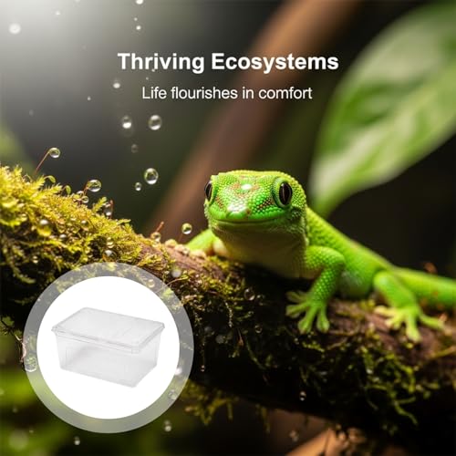2 Pcs Small Reptile Breeding Box, Clear Plastic Feeding Hatching Container for Small Pets, Portable Reptile Terrarium with Handle, Space Saving 7.5 x 4.9 x 3 in 19 x 12.5 x 7.5 cm