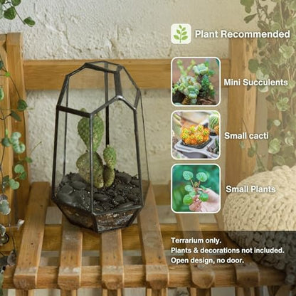 NCYP Small No Door Geometric Terrarium - 4.1" x 3.5" x 5.9" Miniature Irregular Glass Terrarium Planter for Mini Succulent Air Plants - Tabletop Garden Container, Black (No Plants) - size: 4.1"x3.5"x5.9"