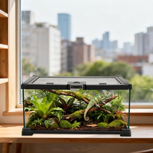 Reptile Terrariums Mini Glass Tank 12" x 8" x 6" Habitat, Top-Opening Mesh Lid with Latch, 360° Clear View, Ventilated Enclosure for Jumping Spiders, Tarantulas, Isopods & Froglets