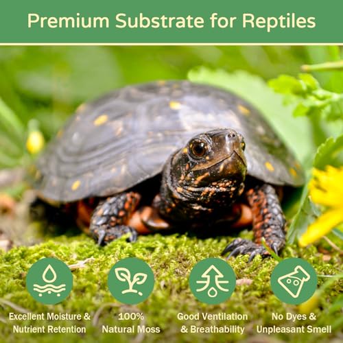 Riare 25QT Natural Sphagnum Moss for Reptiles 1.1LB Terrarium Reptiles Moss | Dried Terrarium Moss Bedding for Snakes Turtles Frogs Geckos Ball Pythons Lepard Gecko Lizards Bearded Dragon & Humid Hides - color: 1.1 LB