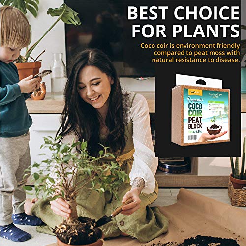 Coco Coir Brick 10 LB - Premium Compressed Coconut Fiber Block for Indoor Plants, Seed Starting & Hydroponics - Low Salt Triple Washed - Expands to 75 Quarts - 100% Natural Peat Alternative