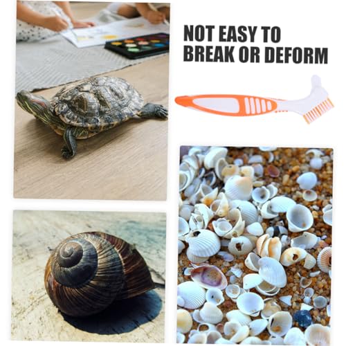 GANAZONO 3pcs Turtle Shell Cleaning Brush Portable Turtle Clean Brush Mud Remover - color: Orange