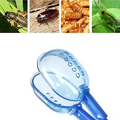 3in1 Feeding Tool Reptile Feeding Tongs Cricket Clamp Bug Scooper, Cleaning Supplies Scooper+ 2x Tweezers for Reptile, Hedgehog, Hamsters, Guinea Pig,Lizard, Spider Bearded Dragon (Blue) - color: Blue