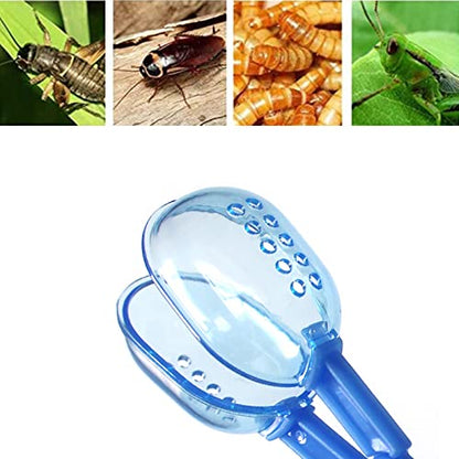 3in1 Feeding Tool Reptile Feeding Tongs Cricket Clamp Bug Scooper, Cleaning Supplies Scooper+ 2x Tweezers for Reptile, Hedgehog, Hamsters, Guinea Pig,Lizard, Spider Bearded Dragon (Blue) - color: Blue