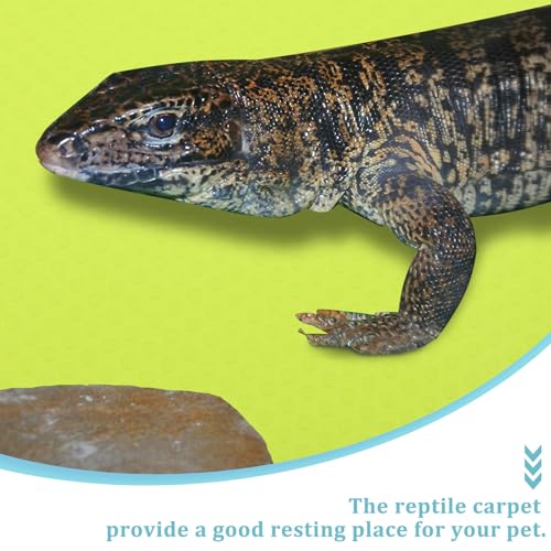Foldable Reptile Carpet Mat for Terrarium Substrate Tailored Leopard Gecko and Tortoise Bedding Lightweight Washable Liner for Bearded Dragon Lizard Snake Turtle Habitat