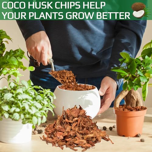 Halatool 6 Pcs Coco Husk Chips for Plants - 6.6 LB 100% Organic Coconut Coir Chips with Low EC and pH Balanced, Compressed Coco Substrate Growing Mulch Medium for Landscaping, Herbs, Plants, Flowers - color: 6pcs