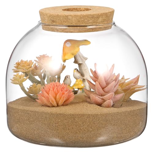 Totority Glass Terrarium Jar with Stopper for Hydroponic Plants and Moss Mini Transparent Ecosystem Container with Wood Cork Lid Decorative Indoor Plant Terrarium for Home and Office Desk