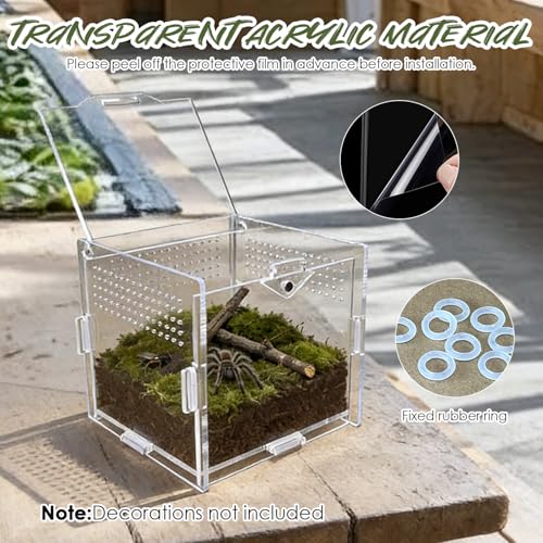 Jumping Spider Enclosure, 4"x4"x4" Acrylic Habitat Terrarium - Top Opening with Ventilation & Feeding Holes, Small Pet Tank for Jumping Spiders, Snails, Insects, Isopods