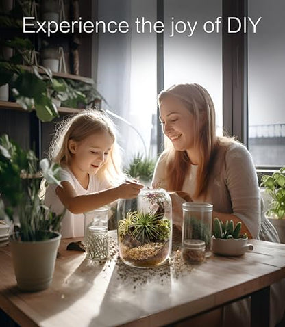 Terrarium Kit with Grow Light – 24-Piece DIY Glass Terrarium Set with Tools, Moss, Driftwood, Soil & Pebbles – Mini Gardening Kit for Air Plants, Succulents & Indoor Desk Decoration Gift - size: Round Set