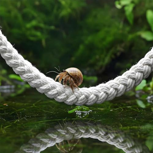 Hermit Crab Toys - Climbing Jute Rope, Reptile Tank Ladder Natural Fiber Hanging Vine Accessory | Stimulating Terrarium Habitat Enrichment Activity Bridge for Lizards Geckos Snakes - color: Cotton Rope
