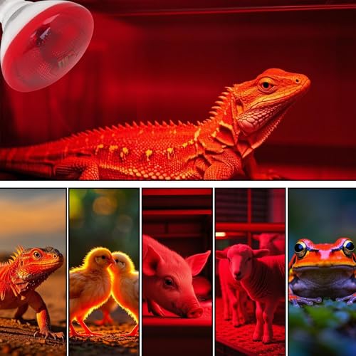 Aiicioo Infrared Heat Lamp Bulb 250W Red Infrared Heat Bulb for Chickens Reptile Heat Light Bulb for Brooder Coop Chicks Pet Reptile Amphibians Par38 Glass E26 Base