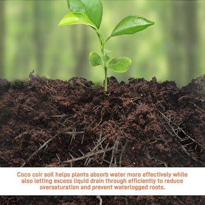 Premium Organic Coconut Coir Bricks - 6 Pack Coco Coir Bricks for Planting, Gardening, and Potting Soil Substrate. Low EC & pH Balanced 100% Organic Peat Moss Mix with Fiber from Coconut Husks - size: 6Pack