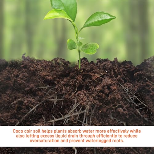 Premium Organic Coconut Coir Bricks - 6 Pack Coco Coir Bricks for Planting, Gardening, and Potting Soil Substrate. Low EC & pH Balanced 100% Organic Peat Moss Mix with Fiber from Coconut Husks - size: 6Pack