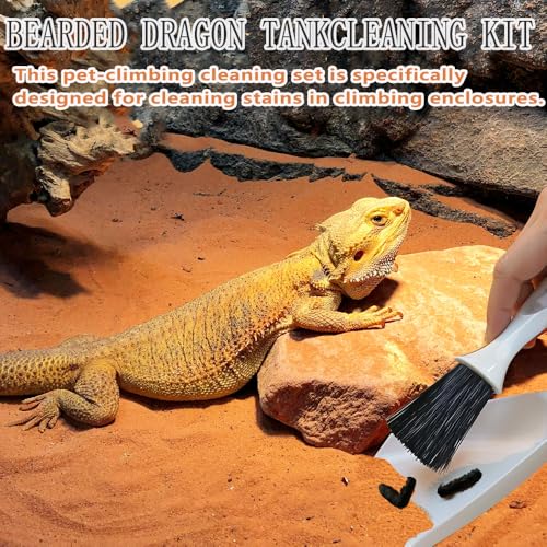 6-Piece Bearded Dragon Tank Cleaning Set, Reptile Enclosure Cleaning Tool Set with Bearded Dragon Nail Clippers&Cleaning Cloth, Brush, Scraper & Mini Dustpan for Lizard & Gecko Terrarium Maintenance