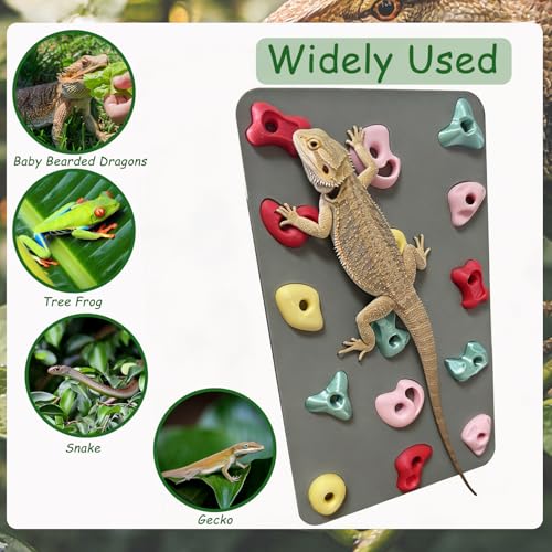 3D Reptile Climbing Wall, Natural Textured Habitat Decor for Bearded Dragons, Leopard Geckos, Lizards, Snakes, Frogs & Amphibians – Terrarium & Paludarium Tank Accessories