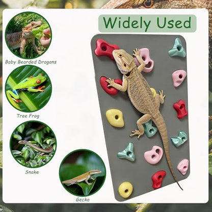 3D Reptile Climbing Wall, Natural Textured Habitat Decor for Bearded Dragons, Leopard Geckos, Lizards, Snakes, Frogs & Amphibians – Terrarium & Paludarium Tank Accessories