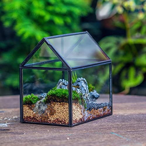 NCYP Small Glass Terrarium with Lid for Plant Succulent - 6.1 X 4.33 X 6.3 Inches - House Shape Flower Pot, Garden Tabletop Decor Planter, Geometric Centerpiece, Black (No Plants)