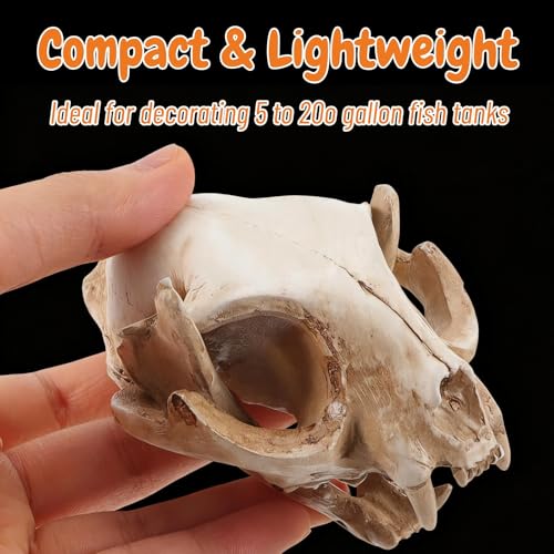 Hemobllo Aquarium Skull: Skull Aquarium Decor Resin Cat Skeleton for Fish Tank Reptile Tank Decoration Unique Handmade Craft for Home Terrarium Ornament