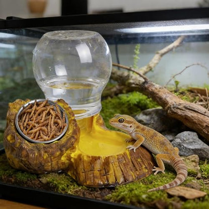 Reptile Feeder,Feeding Drinking Dish for Reptile,Leopard Water and Food Bowl - for Enclosure Terrarium Turtle Tortoise Snake Bearded Dragon Lizard Chameleon Leopard