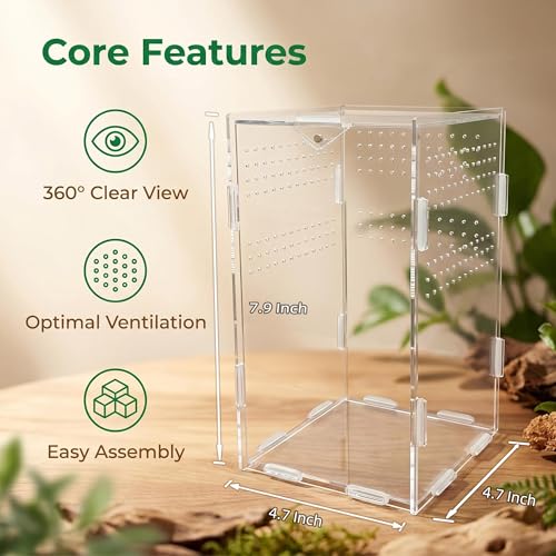 Portable Travel Jumping Spider Enclosure, Acrylic Terrarium for Spider, Magnetic Lock Spider Habitat & Small Terrarium Ventilated for Tarantula,Mantis,Frog,Insect Enclosure cage (4.7×4.7×7.9 Inch) - size: 4.7×4.7×7.9 Inch