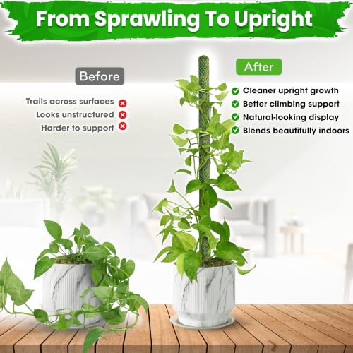 DUSPRO 4 Pack 25’’ Mesh Moss Pole for Climbing Plants, Natural Moss Pole Monstera Plant Support, Real Moss Poles for Plants Indoor, Moss Stick for House Plants, Moss Stakes for Climbing Plants - size: 25''