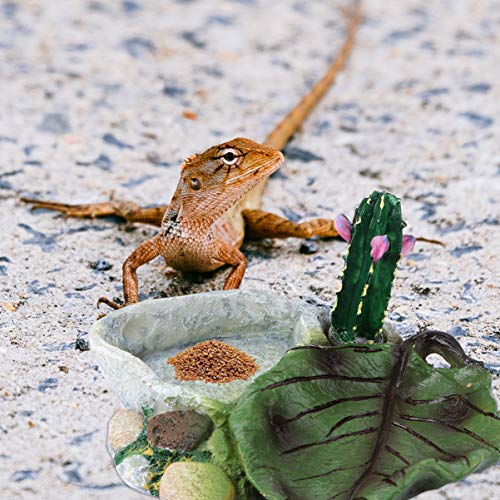 POPETPOP Reptile Water Dish: Cactus Shape Resin Reptile Feeding Dish for Bearded Dragon, Lizard, Spider