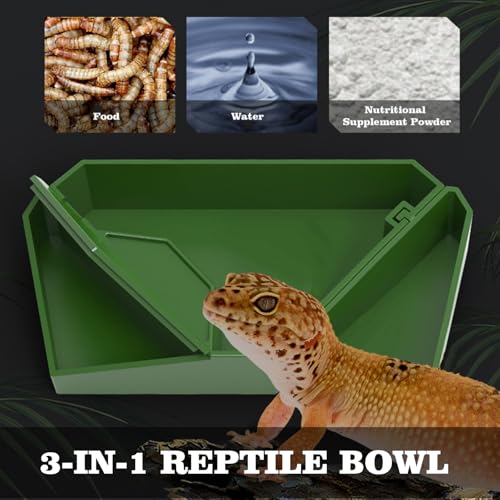 Bearded Dragon Tank Accessories, 3-in-1 Reptile Bowl with Dismountable Section for Food Water and Powder, Gecko Feeding Ledge, Reptile Tank Accessories for Bearded Dragon, Chameleon, Gecko, Frog