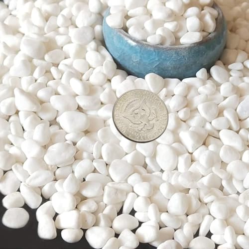 TOYPOPOR Mini White Rocks Stone Decorative Pebbles Vase Fillers Succulents Cactus Bonsai DIY Plant Rock Garden Outdoor Indoor Gravel for Aquarium, Terrarium, Fairy Gardening, Top Dressing 6lbs - color: White Rock, size: 6 lb