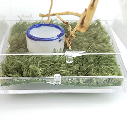 Acrylic Critter Keeper Jumping Spider Enclosure Snail Container House Accessories Reptile Terrarium Insect Enclosure Tank Snail Spider Habitat Cage Reptile Isopods Lizards Roach Feeding Box