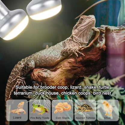 Reptile Heat Lamp 100W, Intense UVA Basking Light Bulbs, Flat-Base Heat Emitter, Heat Lamp Bulb for Reptile Chick 2 Pack - style: Natural Basking Light Bulb 100W