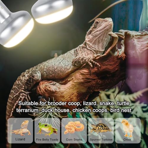 Reptile Heat Lamp 100W, Intense UVA Basking Light Bulbs, Flat-Base Heat Emitter, Heat Lamp Bulb for Reptile Chick 2 Pack - style: Natural Basking Light Bulb 100W