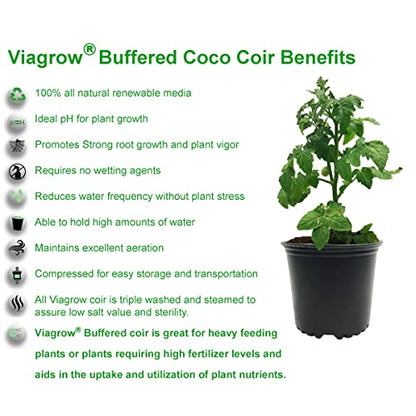 Viagrow® 5 kg (11 lb.) Buffered Compressed Coconut Coir Premium Grow Media (1-Pack) / A Product of The Harvest Company™ - color: Buffered 5KG, size: 1 Pack