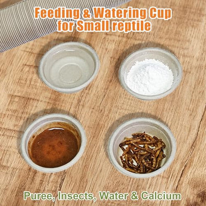 Tfwadmx 120Pcs Paper Gecko Feeding Cups,Samll 1oz Crested Gecko Food Dish,Reptiles Food and Water Bowls Feeder Ledge Accessories Cups for Lizards,Spiders,Frogs - size: 120 pcs