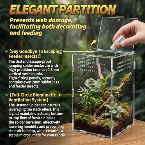 Hushee 2 Pcs Acrylic Jumping Spider Enclosure, 360° Clear Ventilated Reptile Terrarium View, Easy Assembly Secure Pet Habitat, Perfect for Mantis, Frog, Tarantula, Gecko and Small Reptiles