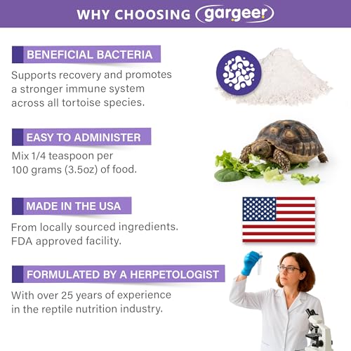 Gargeer Bounce Back Tortoise Immune & Recovery Support Powder Supplement 3oz, Electrolytes, Vitamin C & Immune Support for Sulcata, Red Foot & All Tortoise Species. Made in the USA. Enjoy!