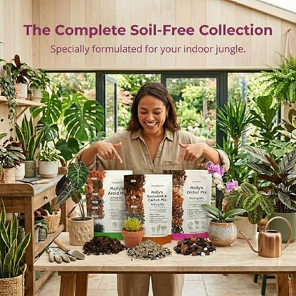 Molly's Succulent Mix - Premium Gritty Soilless Potting Mix for Succulents, Cactus and Bonsai - Contains Akadama, Hyuga, Bark Fines, Pumice, Lava Rock, Mycorrhizae 3 Dry Quarts - size: 3 Dry Quarts, style: Succulents & Cacti