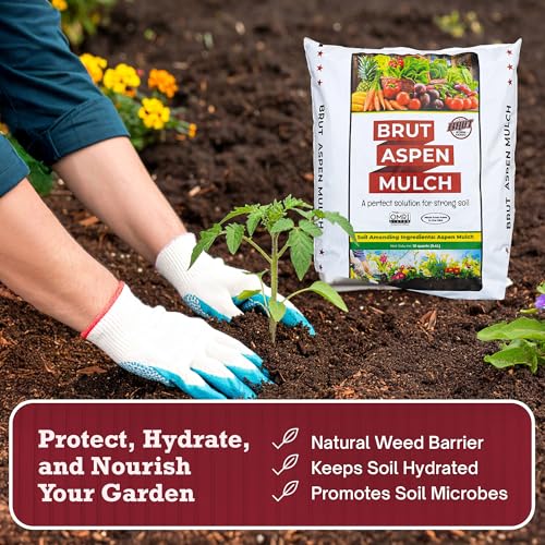 Brut Organic Aspen Mulch 10 QT – Natural Moisture Retainer & Root Protector – Odor-Free, Nutrient-Rich Bark Mulch for Landscaping, Garden Beds & Potted Plants - size: 10 QT
