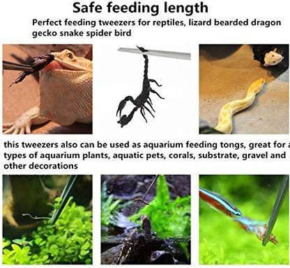 10.6 inch Reptile Feeding Tongs, 3 Pcs Tweezers Cricket Clamp Bug Scooper, Stainless Steel Straight and Curved Tweezers Set for Insects Lizard Turtle Snake Spider Frog Gecko Chameleon - size: 10.6 inch