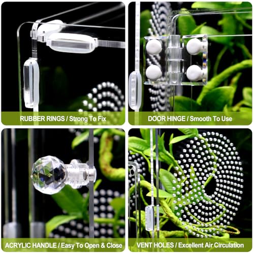 Large Jumping Spider Enclosure, Tarantula Enclosure with Front Opening Door, Spider Enclosure for mantises, Lizards, Frogs and Insects. (6x6x12 Inch, Assemble)