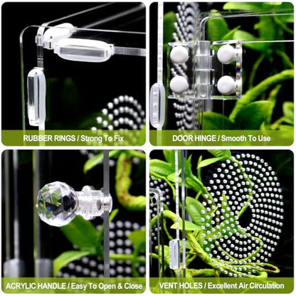Large Jumping Spider Enclosure, Tarantula Enclosure with Front Opening Door, Spider Enclosure for mantises, Lizards, Frogs and Insects. (6x6x12 Inch, Assemble)