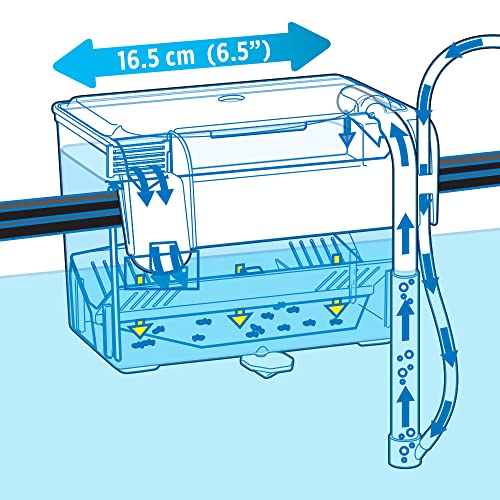 Fluval Multi-Chamber Holding and Breeding Box, Medium (Pack of 12) - size: Medium (Pack of 12)