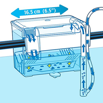 Fluval Multi-Chamber Holding and Breeding Box, Medium (Pack of 12) - size: Medium (Pack of 12)