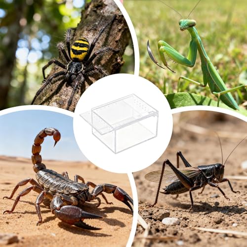 Spider Terrarium, Easy Observation, 10.5x8.5x6cm, Transparent Breeding Box, Frog Breeding Box, Portable and Convenient Enclosure, for Spiders, Snakes, Lizards, Frogs, Geckos