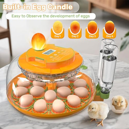 18 Egg Incubators for Hatching Eggs, Egg Incubator Incubator with Automatic Turning and Humidity Control, Auto Water Replenishment, 2 Size Trays, Air Vent, for Chicken Duck Quail Goose Eggs