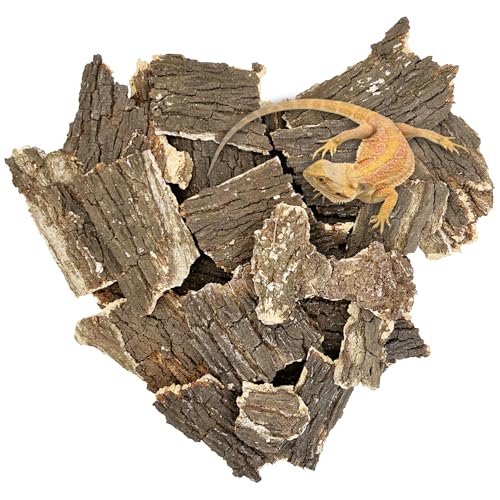 Reptile Cork Bark 1 Lb Flat Cork Wood for Terrarium Small Tree Bark Pieces 3.9-5.9in Natural Bulk Cork Bedding Tank Substrate for Bearded Dragon Snake Spiders Geckos Tortoise Hermit Crabs