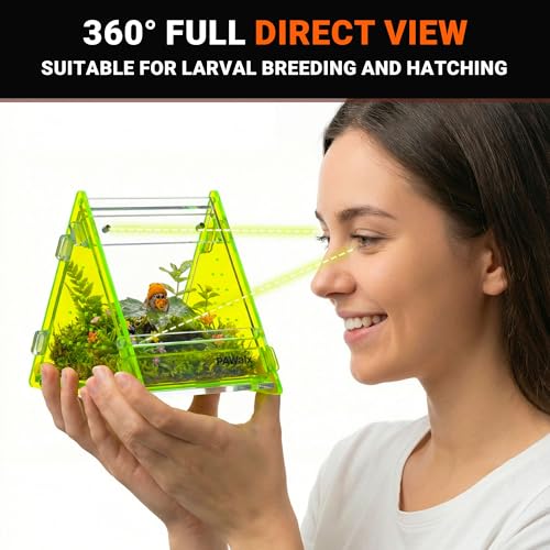 Triangular Jumping Spider Enclosure, Acrylic Terrarium with Magnetic Doors, 0.8mm Micro-Ventilation& Escape-Proof Design for Tarantulas, Lizards, Small Pets (Green,3.5”x3.5”x3.5”) - size: 1Pack, Green,3.5”x3.5”x3.5”