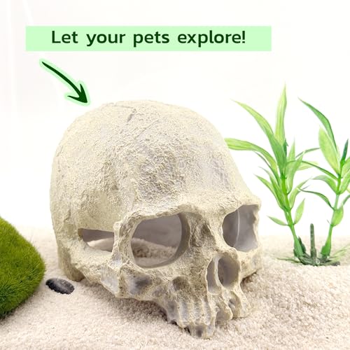 CTWPets Aquarium Human Skull Decor for Betta Fish, Sinking Hide Shrimp Hide