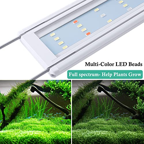 HITOP Full Spectrum LED Aquarium Light – 12” 16” 24” 32” Classic Fish Tank Light with RGB LEDs, with Timer and Stable Extendable Brackets (12-20in) - size: 12-20in